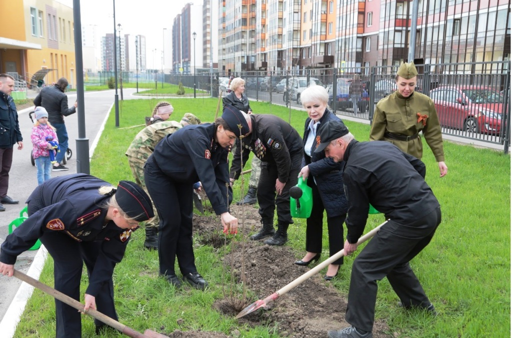 Патриотическая акция «Сирень Победы» Патриотическая акция «Сирень Победы»